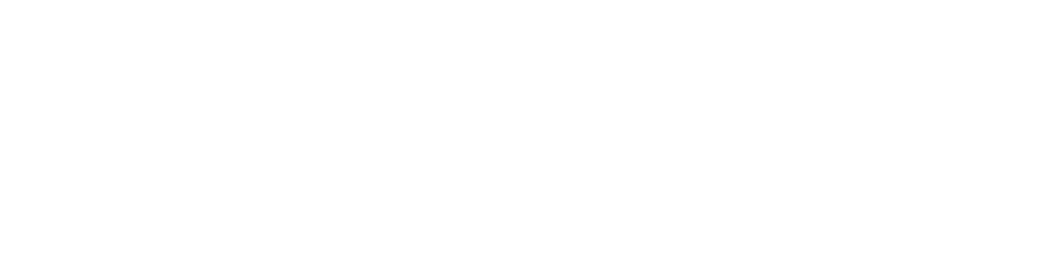 Laissez-Faire Group